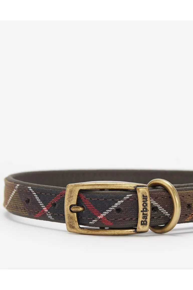 Tart Dog Collar