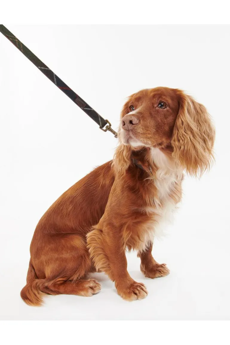 Tartan Dog Lead
