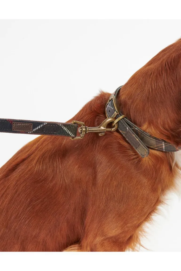 Tartan Dog Lead