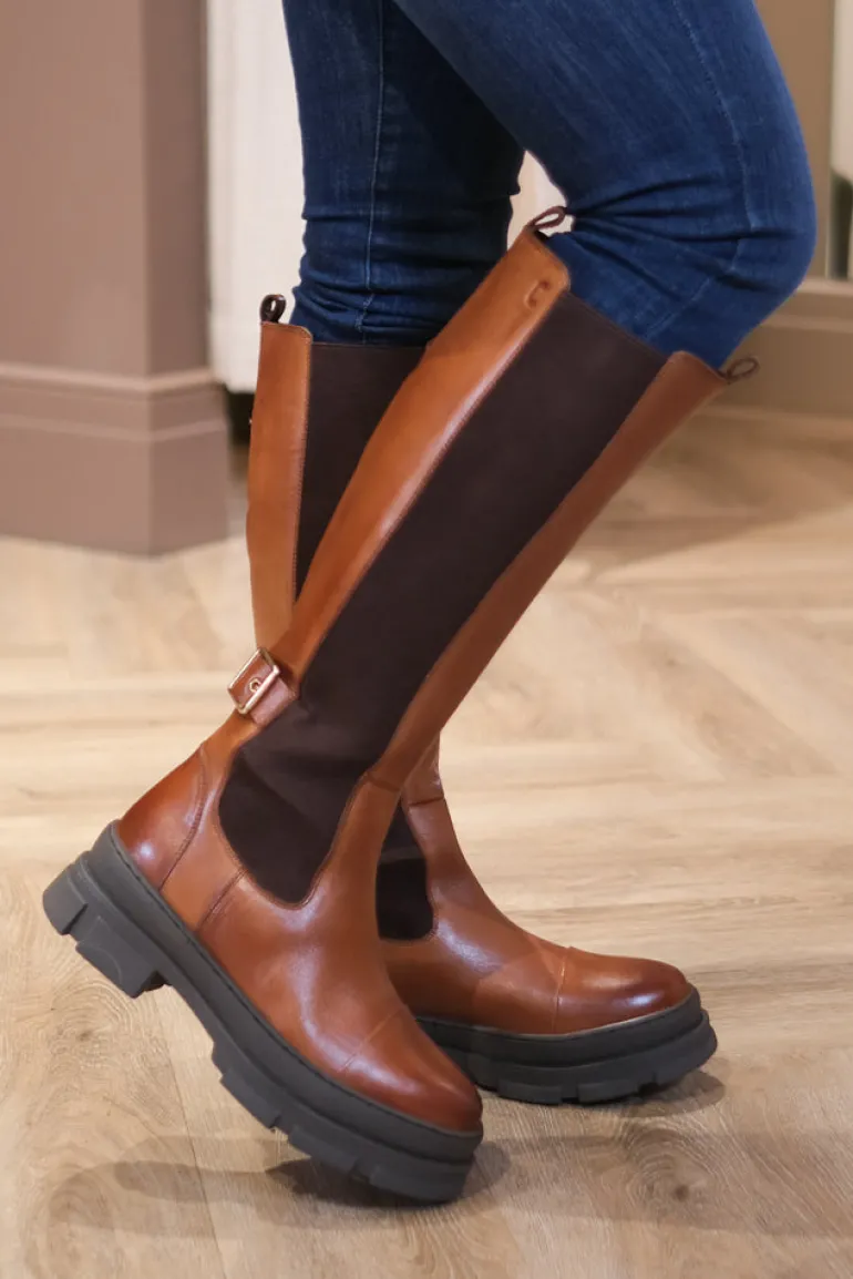 The Follow Boot Cognac
